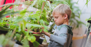 Northside plant sale